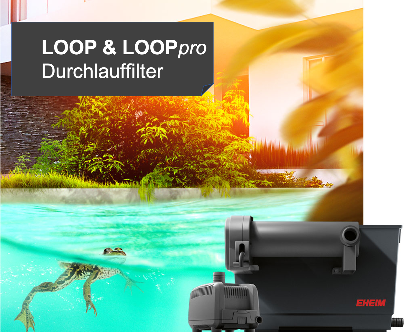 Loop_und_Looppro2021
